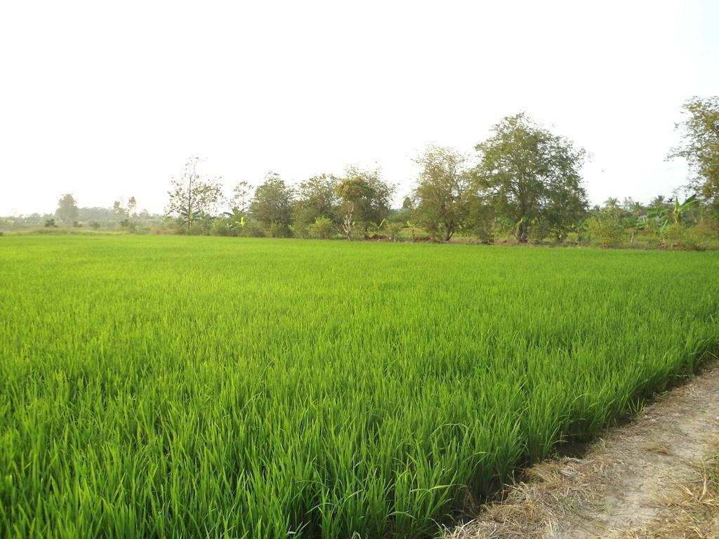 קאן טו Green Village 1 מראה חיצוני תמונה